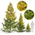 Larix Decidua Tree Scene Kit 3D model small image 1