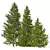 Larix Decidua Tree Scene Kit 3D model small image 2