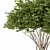 Modern Tree Sculpture No.68 3D model small image 2