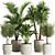 Modern Indoor Plant Set Collection 3D model small image 1