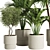 Modern Indoor Plant Set Collection 3D model small image 2