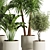 Modern Indoor Plant Set Collection 3D model small image 4