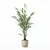 Modern Flower Pot Areca Palm 3D model small image 5