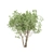 3D Shrubs Collection for Rendering 3D model small image 4