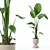 Modern Strelitzia Plant in Pot 3D model small image 1