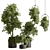  Indoor Plant 644 - Tree in Pot 3D model small image 1