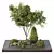 Outdoor Garden Box Bush Collection 3D model small image 1