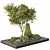 Outdoor Garden Box Bush Collection 3D model small image 2