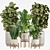 Modern Indoor Plants Set 029 3D model small image 1