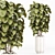 Modern Indoor Plants Set 029 3D model small image 2