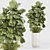 Modern Indoor Plants Set 029 3D model small image 3