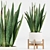 Modern Indoor Plants Set 029 3D model small image 5