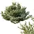 Montra 7 Olive Bush Bundle 3D model small image 3