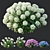 Wild Hydrangea Arborescens 3D Models 3D model small image 2