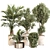 Modern Indoor Plant Set 030 3D model small image 1