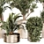 Modern Indoor Plant Set 030 3D model small image 2