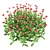 Vibrant 3D Daisy Flower Bush 3D model small image 2