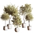 Modern Indoor Plant Set 3D 3D model small image 1