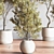 Modern Indoor Plant Set 3D 3D model small image 6