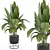  Modern Indoor Plant Set 2 3D model small image 1