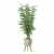  Modern Bamboo Plant in Pot 3D model small image 5