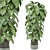  Indoor Plants Collection 1143 3D model small image 1