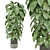  Indoor Plants Collection 1143 3D model small image 2