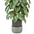  Indoor Plants Collection 1143 3D model small image 3