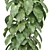  Indoor Plants Collection 1143 3D model small image 4