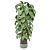  Indoor Plants Collection 1143 3D model small image 5