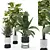 Modern Indoor Plant Set 3 3D model small image 1