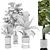 Modern Indoor Plant Set 3 3D model small image 3