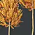 Maple Sapindaceae 3D Models Collection 3D model small image 5