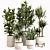 Modern Indoor Plant Set 033 3D model small image 1