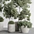 Modern Indoor Plant 3D Set 3D model small image 4