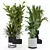  Modern Indoor Plant Set 4 3D model small image 1