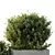 Garden Box Tree Bush Models 3D model small image 3