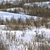 Snow-Covered Grass Ground Asset 3D model small image 2