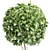 Elegant Indoor Plant Collection 3D model small image 8