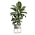 Indoor Plants Pack 62: 3D Models 3D model small image 6