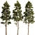 Pine Tree Set 3D Model 3D model small image 1