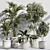 Botanical Paradise Indoor Plant Set 3D model small image 1