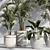 Botanical Paradise Indoor Plant Set 3D model small image 2