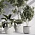 Botanical Paradise Indoor Plant Set 3D model small image 3