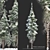 Snow-Capped Corsican Pine 3D model small image 1