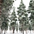 Snow-Capped Corsican Pine 3D model small image 2