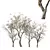 Life-like 3D Dry Trees Pack 3D model small image 1