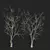 Life-like 3D Dry Trees Pack 3D model small image 2