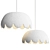 Elegant Scalloped Pendant Lights 3D model small image 1