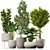 3D Indoor Plants Obj Max 3D model small image 2